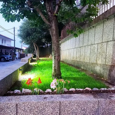 Luce